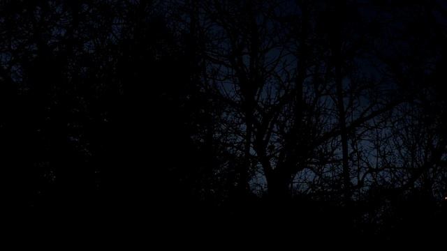 'Romulus' Ukulele Cover (Sufjan Stevens) | Alex.S смотреть онлайн