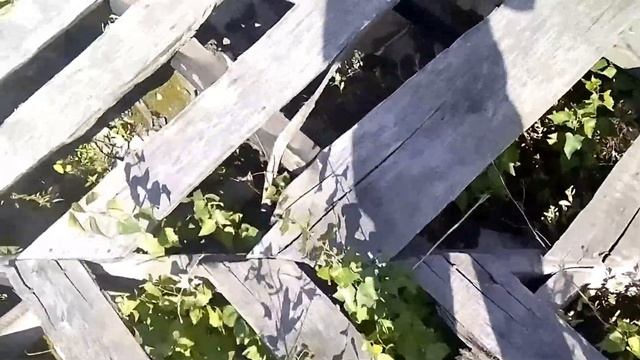 заброшенная автошкола в новосибирске 2 смотреть онлайн