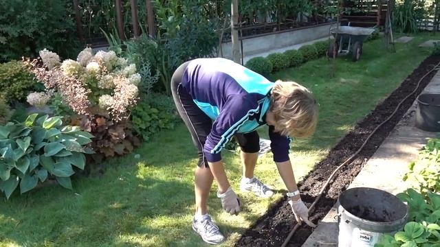 ПОСАДКА КЛУБНИКИ / Отличное решение смотреть онлайн