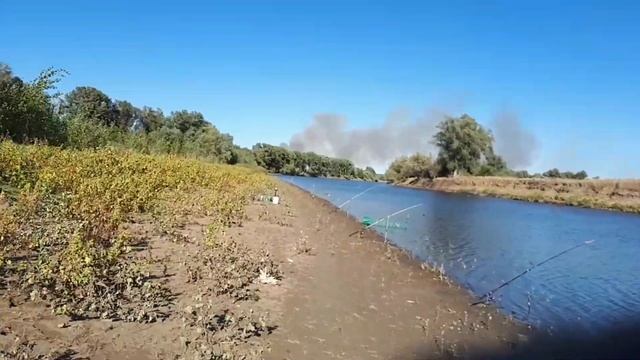 Нижняя Волга Харабалык донки 2019 сентябрь смотреть онлайн