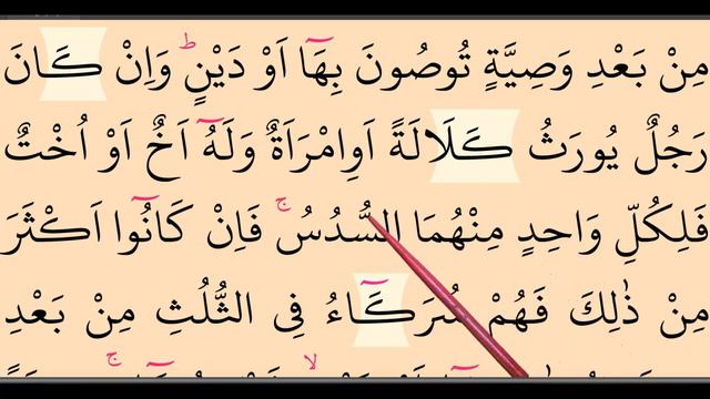 Slow Quran Reading Lessons. Surah Nisa, Ayah 12-14 (#QuranLesson 3). Weekly Quran recitation. смотреть онлайн