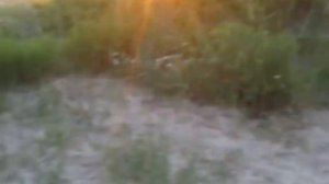 Белое Море ( На мопеде на море)