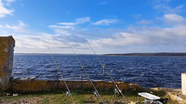 ЗИМНЯЯ РЫБАЛКА 2022 вся рыба стоит в камыше #fishing #новости #pescaria #рыбалка #зимняярыбалка смотреть онлайн
