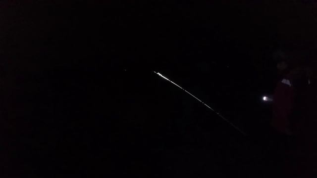 Ночной клев налима, рыбалка на донки смотреть онлайн