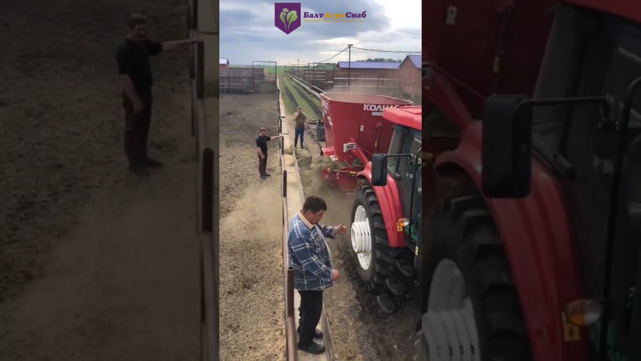 Запуск миксера кормораздатчика #Trioliet #сельхозоборудование #БалтАгроСнаб #сельхозтехника смотреть онлайн