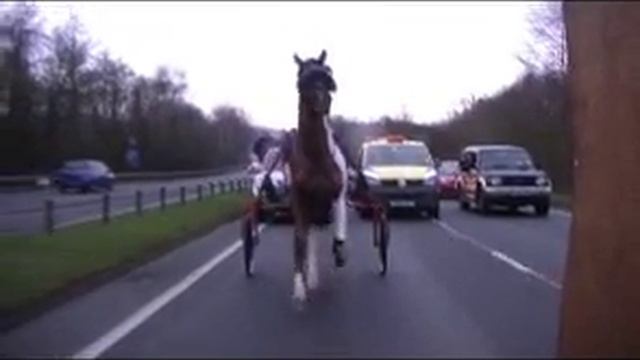 MIXING FROM BEFORE AND AFTER CHIP N PIN VS MUSTANG VS WHITE LEG RACE смотреть онлайн