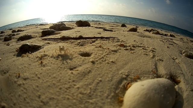 Dhigurah (Дигура, Мальдивы) смотреть онлайн