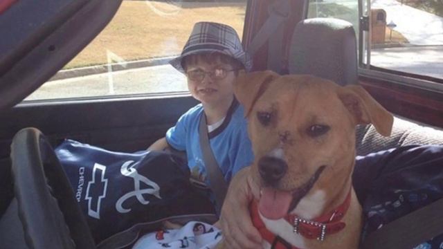 Эта история растрогала сердца сотни тысяч людей смотреть онлайн