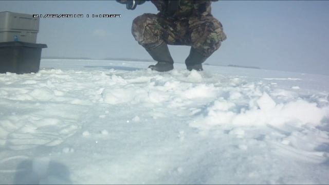 Ловля судака на пластиковую мормышку вместо подвесного крючка. смотреть онлайн