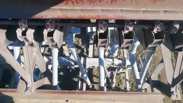 Самодельная анкерная сеялка No-till + мтз 82.1 сеем чечевицу. Крым 2020