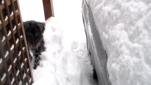 жесть..засыпало по полной))) 3 марта 2018 г. смотреть онлайн