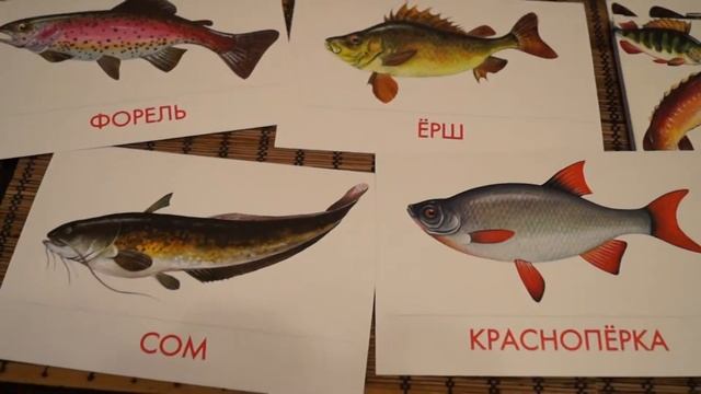 Дидактические карточки для ознакомления с окружающим миром. смотреть онлайн