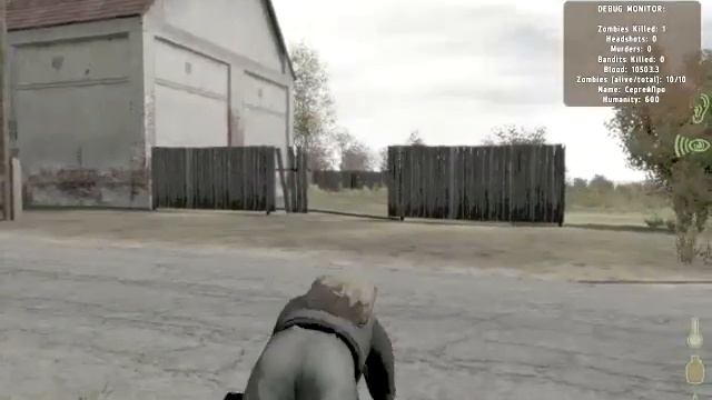 Прохождение игры DayZ Single Player часть1 смотреть онлайн