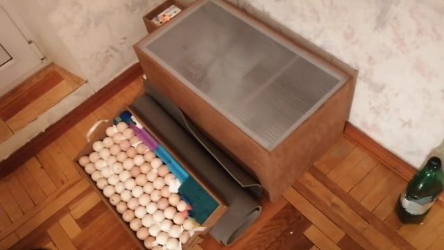 Инкубация От А до Я. (ЗАКЛАДКА) ::Запись на Цыплят открыт!!! ПЕТУХ ЖДЁТ НОВЫХ ХОЗЯЕВ::: смотреть онлайн