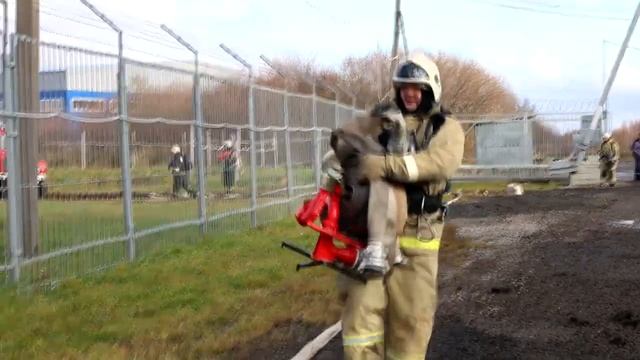 В Вологде прошли крупные пожарно-тактические учения смотреть онлайн