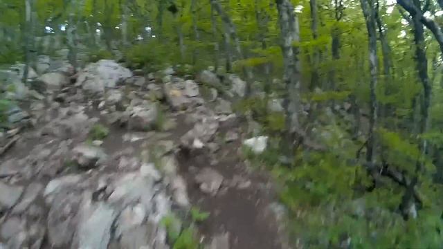 Гора Ай-Петри l На машине l Высота 1234 м. смотреть онлайн