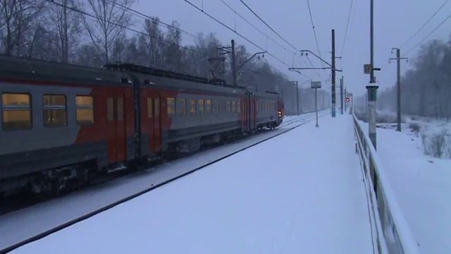 Электропоезд ЭД4М-0157 платформа Зосимова Пустынь смотреть онлайн