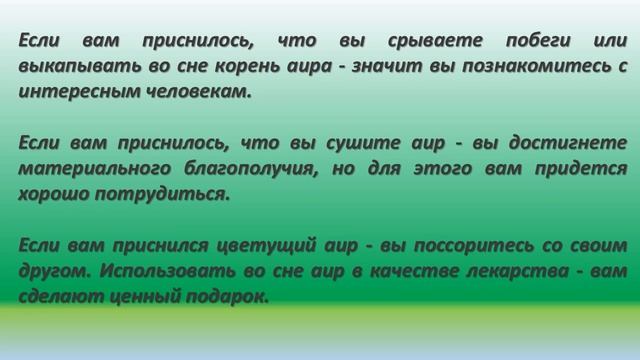 К чему снится Аир смотреть онлайн