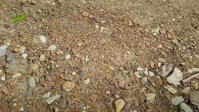 1часть выживание челлендж