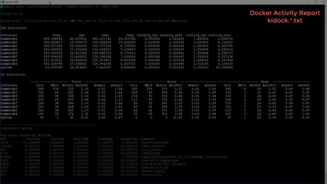 LinuxKI Docker Activity Report Part 13 смотреть онлайн