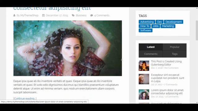 Schema WordPress Theme Review: Fast & SEO Optimized смотреть онлайн