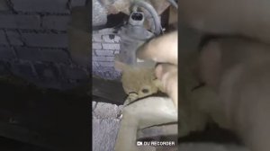 Замена задних тормазных колодок. ПАССАТ Б6