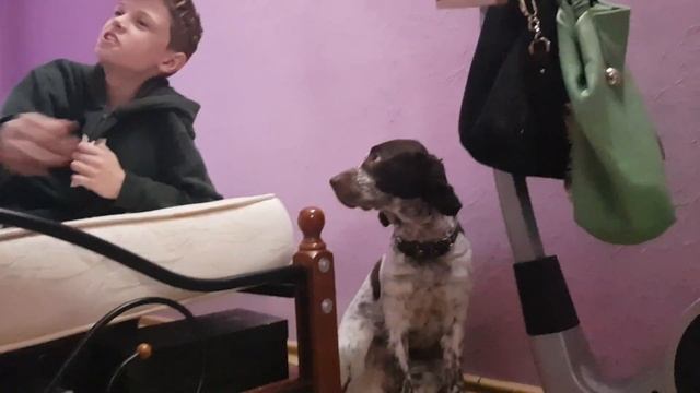 Первоя серия приключений володи и робина-убицы смотреть онлайн