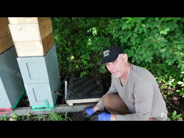 GSM контрольные весы смотреть онлайн