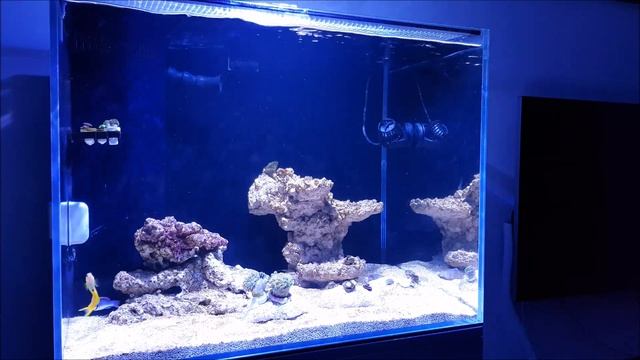 Aqua One Mini Reef 120 Update #1 - Setting Up смотреть онлайн