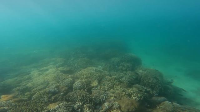 ВЫЖИВАНИЕ 7 ДНЕЙ НА НЕОБИТАЕМОМ ОСТРОВЕ. БЕЗ ЕДЫ И ВОДЫ [2 СБОРНИК 6 го СЕЗОНА] смотреть онлайн