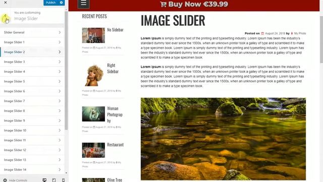 Wordpress Theme Photo Studio Premium - Shortcode смотреть онлайн