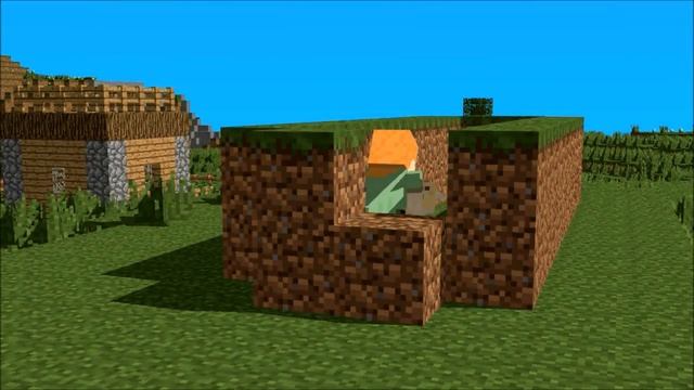 Ocelot Life - Minecraft Animation