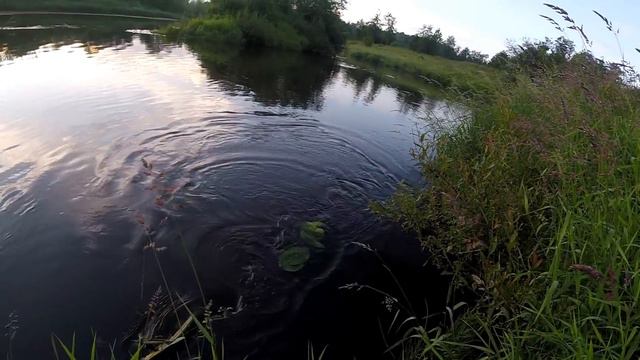 Уговоры судака были тщетны, но щука была более активна. 2 дня на рыбалке. смотреть онлайн