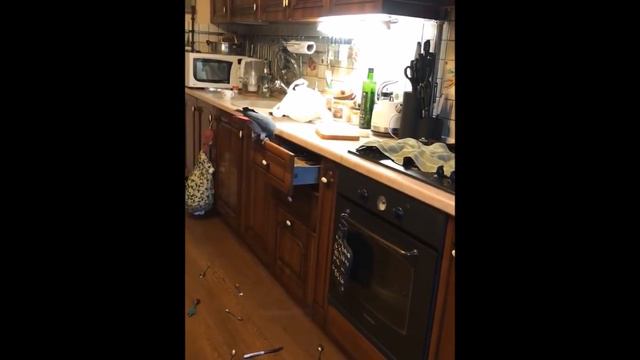 Попугай Жора на кухне пока мама смотрит футбол