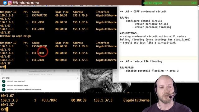 day 39 - OSPF paranoia reduction + database explanation guide смотреть онлайн