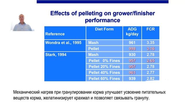 Основные кормовые рекомендации для снижения конверсии на откорме смотреть онлайн