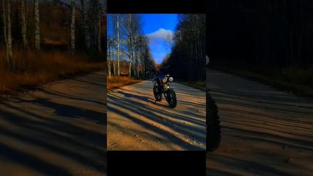 А что тебе поднимает настроение?#питбайк #мотоцикл #bse #moto #motorcycle #bike #приколы#дпс смотреть онлайн