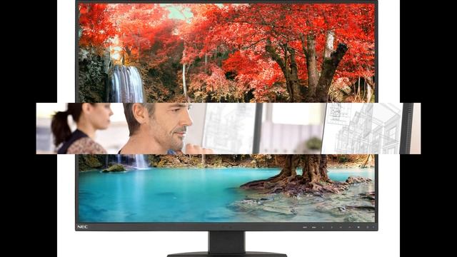 Профессиональный монитор NEC MultiSync EA271U с 4К оснащён портом USB Type-C.