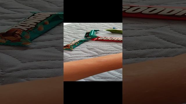 СКИБИДИ звери захватили мир 23 смотреть онлайн