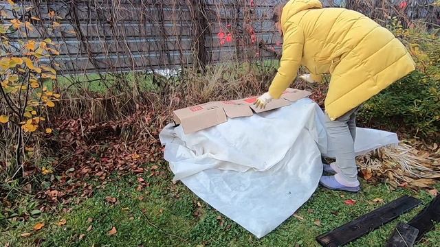 моем теплицу/укрываем гортензию//садовый влог смотреть онлайн