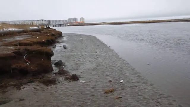 Белое море Параниха смотреть онлайн