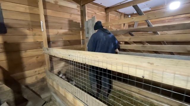 Я БЫЛ ОБЯЗАН НА НЕЙ ЖЕНИТЬСЯ! СЕМЕЙНАЯ ЛЕГЕНДА! ОТПРАВИЛА МУЖА ОТДЫХАТЬ А САМА ХЛОПОЧУ НА ХОЗЯЙСТВЕ смотреть онлайн