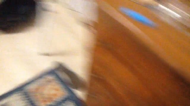 Самодельное укрытие для паука птицееда смотреть онлайн