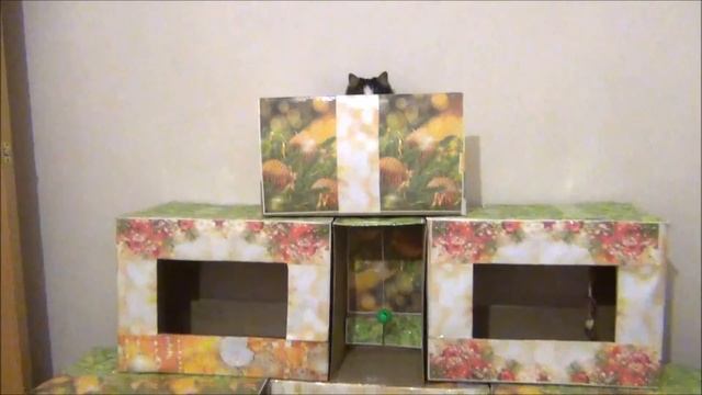 Мастерим новогодний котодом смотреть онлайн