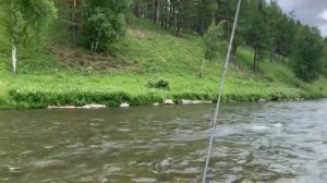 Сплав по реке Мана с Выезжего Лога до Нарвы 2022 год.