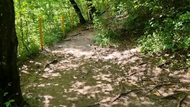Водопады Руфабго в Адыгее. Август 2021г. смотреть онлайн
