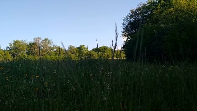 Успокоение души-Звуки природы/Кцlар/Qusar /Кусары -Шагьдагъ смотреть онлайн