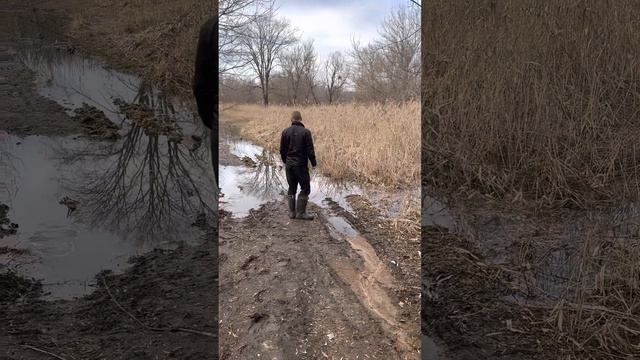 Работа девочки лабрадора в восемь месяцев) смотреть онлайн