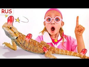 Бо-бо с Домашними Животными и Песенка про Хамелеона | Майя и Маша | Детские песни | Детские истории