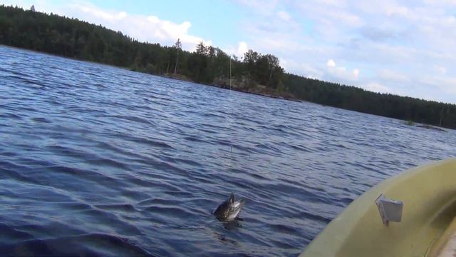 Щука на Buster Jerk II смотреть онлайн